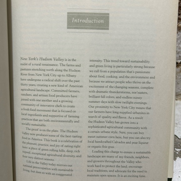 First Edition Hudson Valley Mediterranean, The Gigi Good Food Cookbook. - Picture 10 of 10